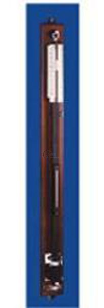 Standard Fortin's Barometer