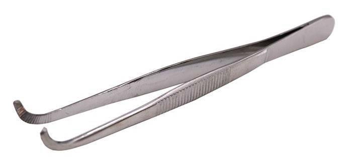 Forceps