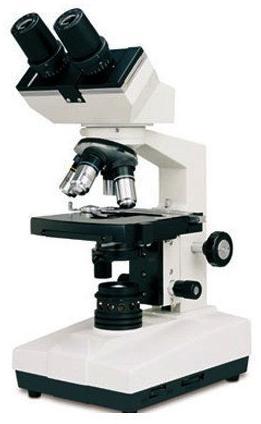 Microscope (Light)
