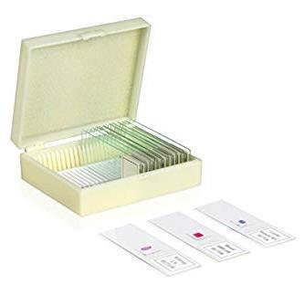 Dissection Microscope Kit Glass Slides