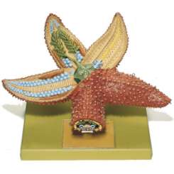 Star Fish Model